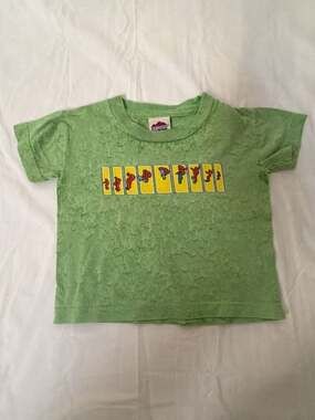 New Legends Toddler Boys Green Skateboarding Graphic T-Shirt 2T